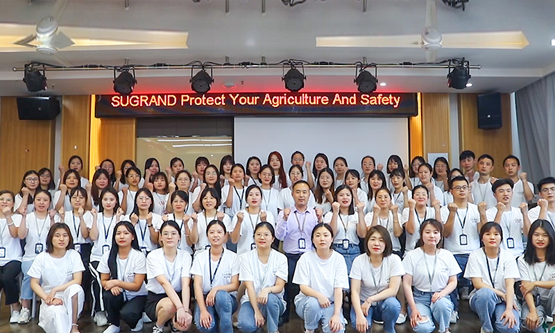 شركة حصيرة الأعشاب