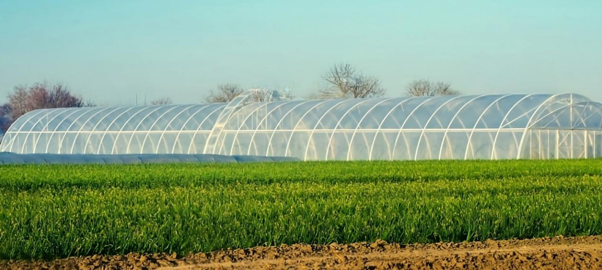 خفى جراند نتس كو. ، لت