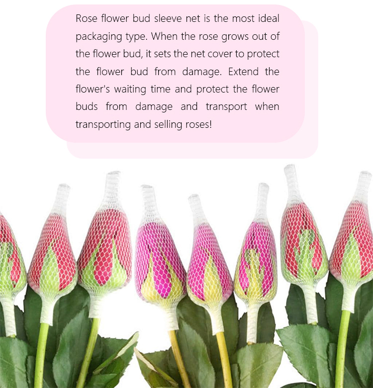 شبكة الزهور 3