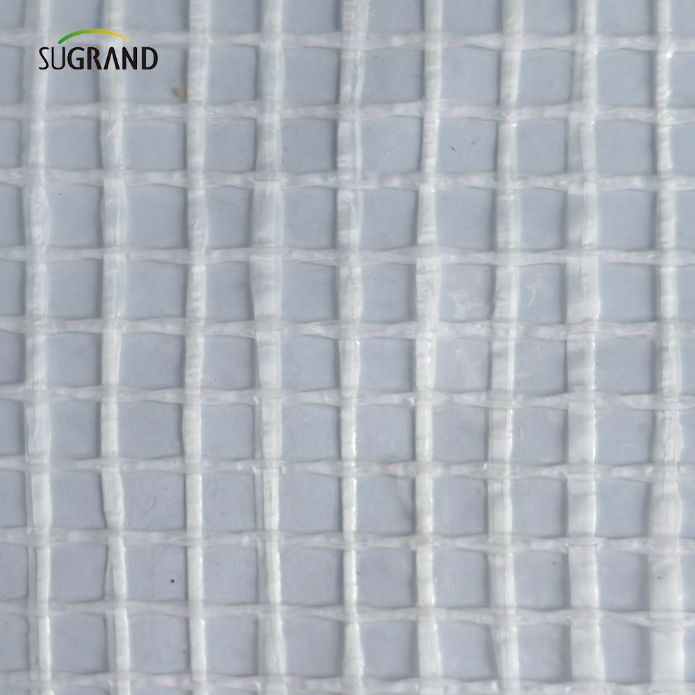 مقياس 600 جرام واضح 2*45M/3*45M متخلف حريق السقالات البيضاء