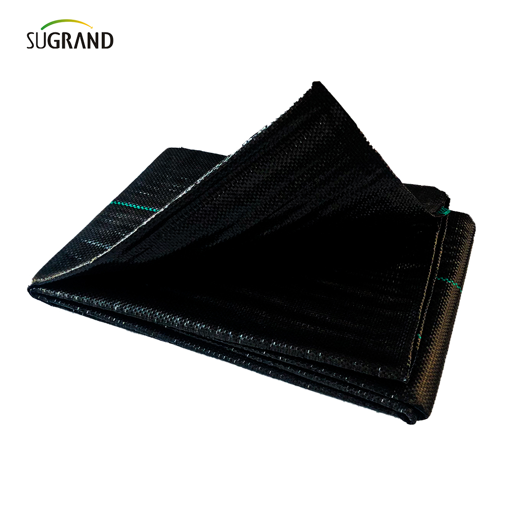 100gsm غطاء الأرض الأسود والأخضر / حصيرة الأعشاب