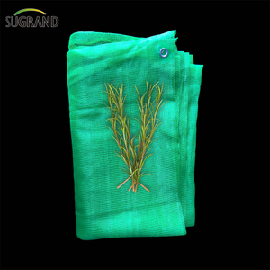 جودة عالية 2.6 كجم شبكة أمان للبناء الأزرق