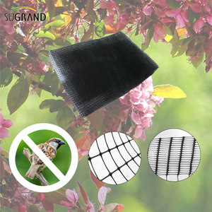 Black Bird Mist Nets Prouded Breaded Bread Net Net Net