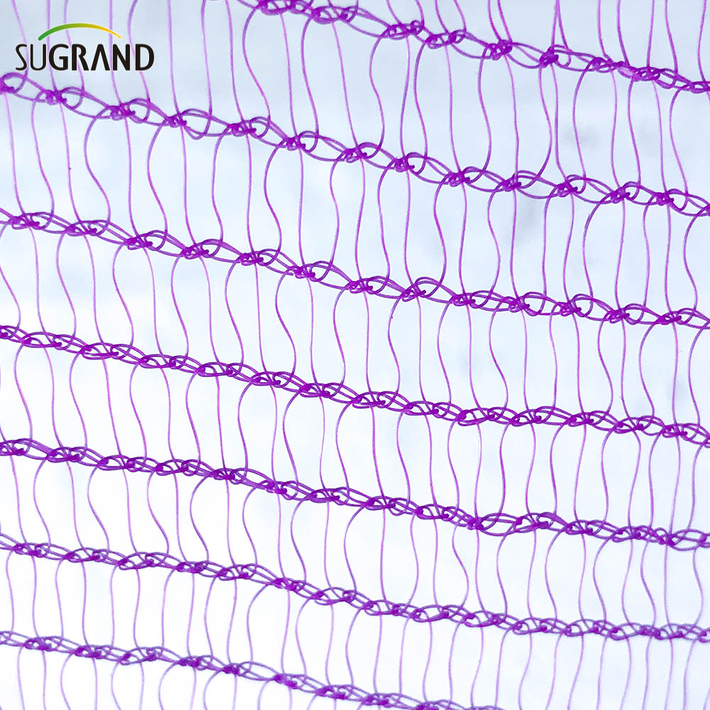  HDPE SCAFFOLDING SANITY NET NET NET 2.57M × 50M