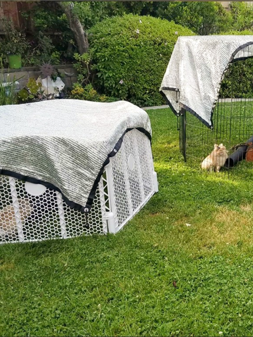 دفيئة الظل شبكة