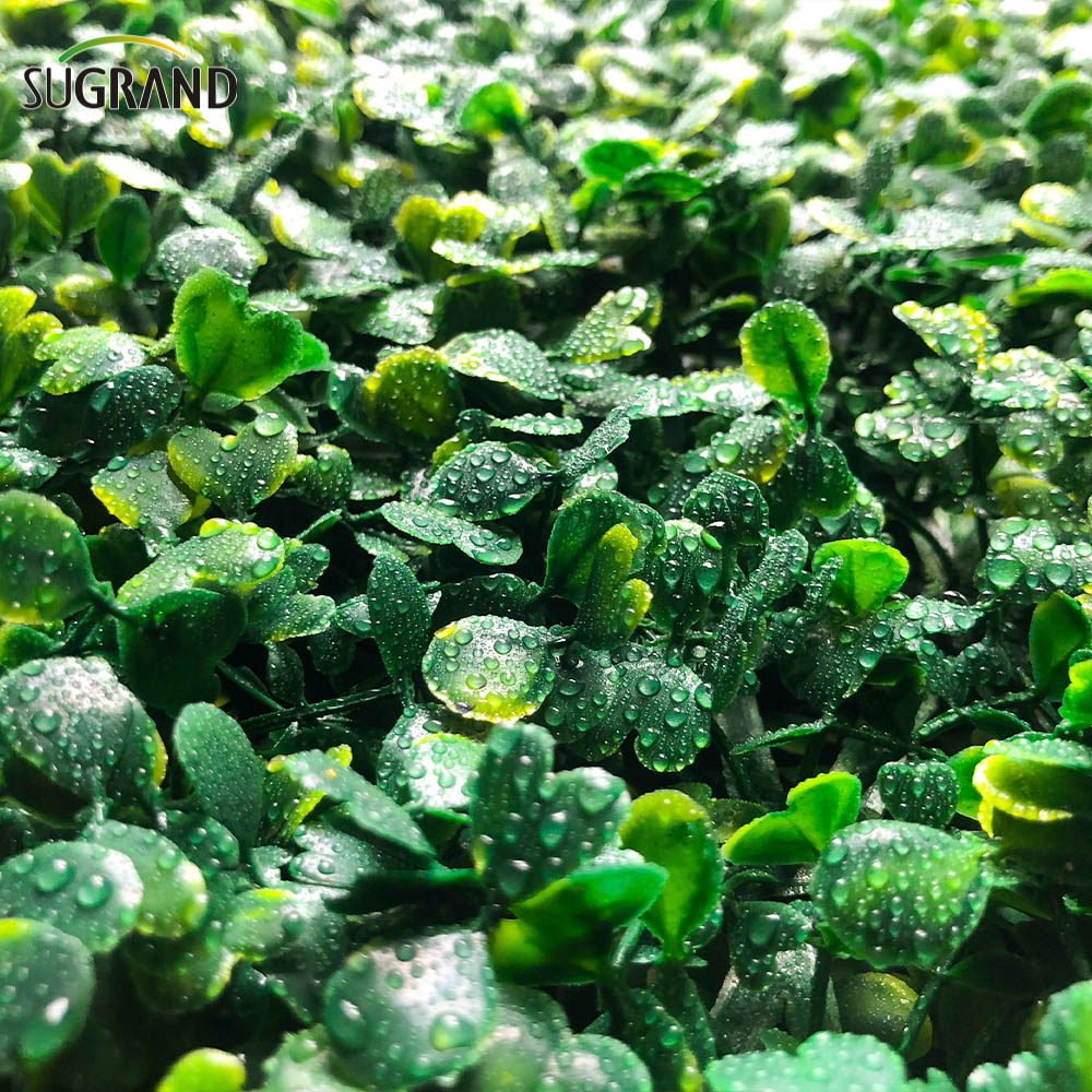 أوراق الاصطناعية سياج PVC السياج الاصطناعي العشب الصناعي مزيف