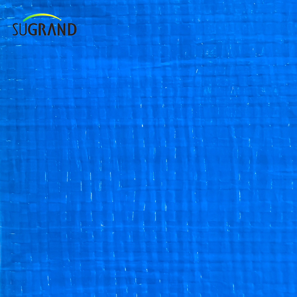 الشركة المصنعة عالية القوة الدائمة الأزرق المضاد للماء PVC Tabaulin 