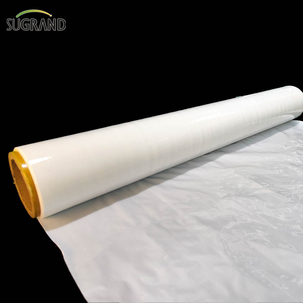 فيلم سيلاج أبيض / سيلاج سيلاج