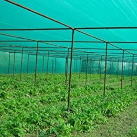 اختر شبكة الظل الصحيحة لتعزيز حصادك