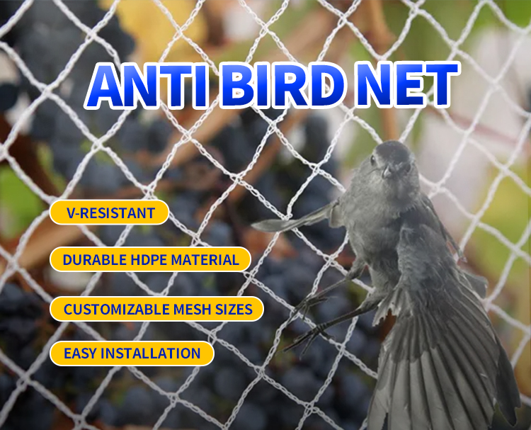 مضاد للطيور شبكة