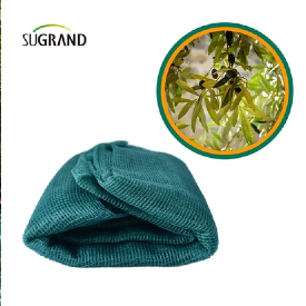 تطبيقات شاملة لشبكات الزيتون