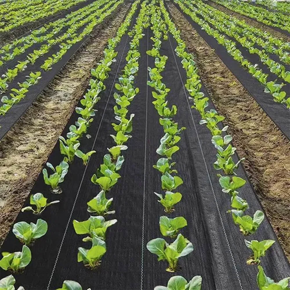 مصنع نسيج المناظر الطبيعية للغطاء الأرضي باللون الأخضر الداكن