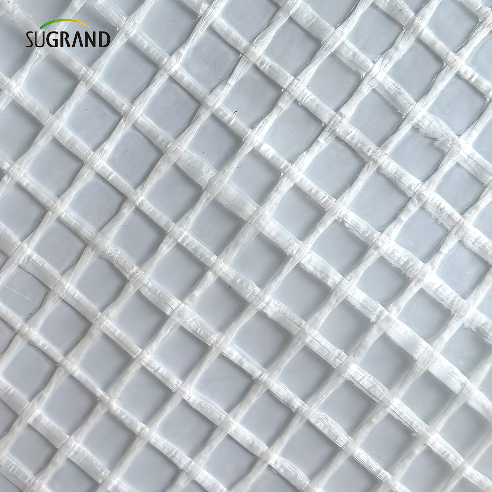 800G متخلف حريق 3*45M SCAFFOLD SHITING