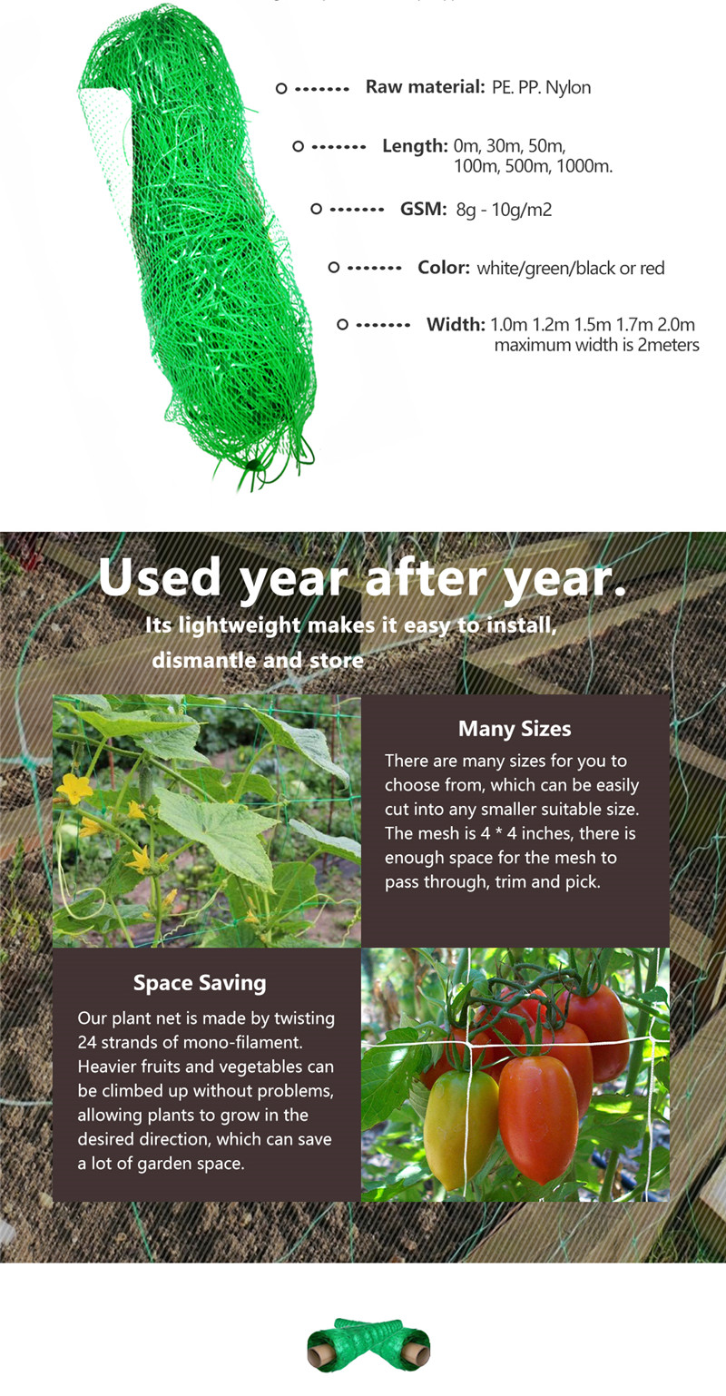 شبكة دعم النبات 2