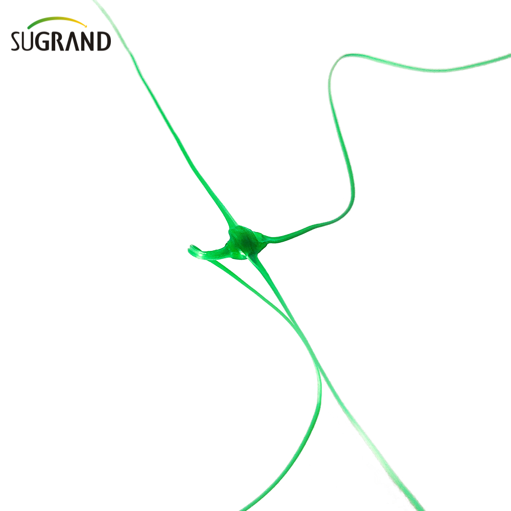 HDPE Net Plant Plant Net Support Net Trellis Trellis Trellis Trellis