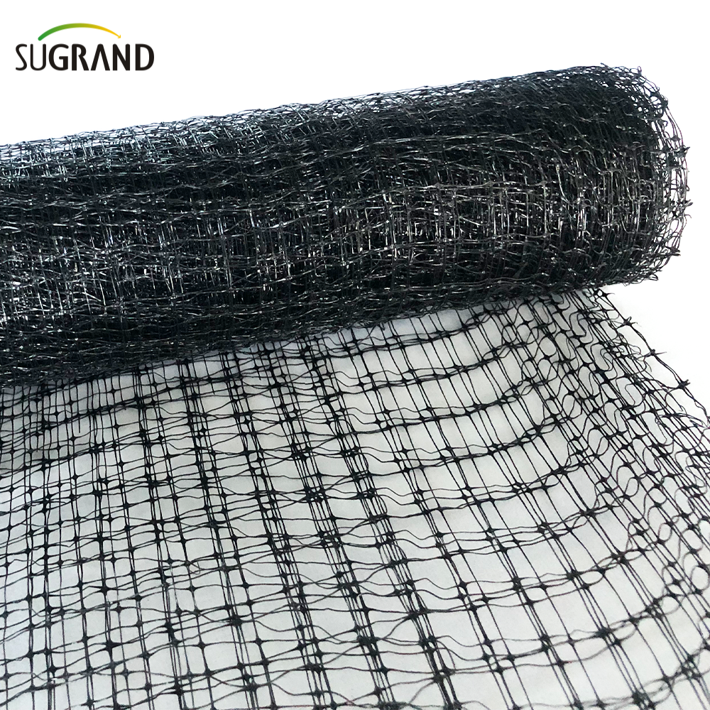 HDPE 200m بثرى شبكة الطيور المضادة لحماية الفاكهة الخضار