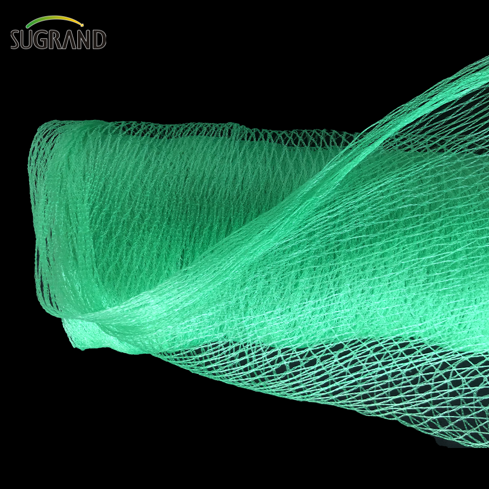 السوق الأرجنتيني Green Bird Protection Net Nylon Mist Bird Nets