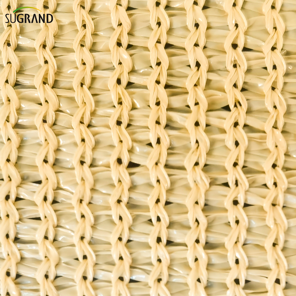 البيج الشمس الظل الشراعية على الانترنت