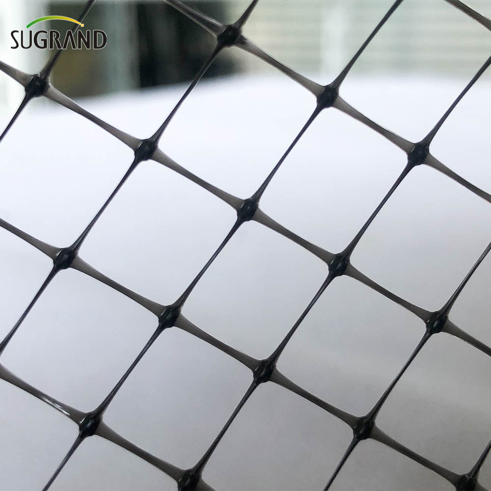 Black Bird Mist Nets Prouded Breaded Bread Net Net Net