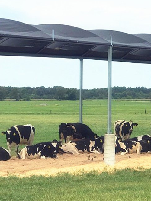 Net Net Net Agriculture