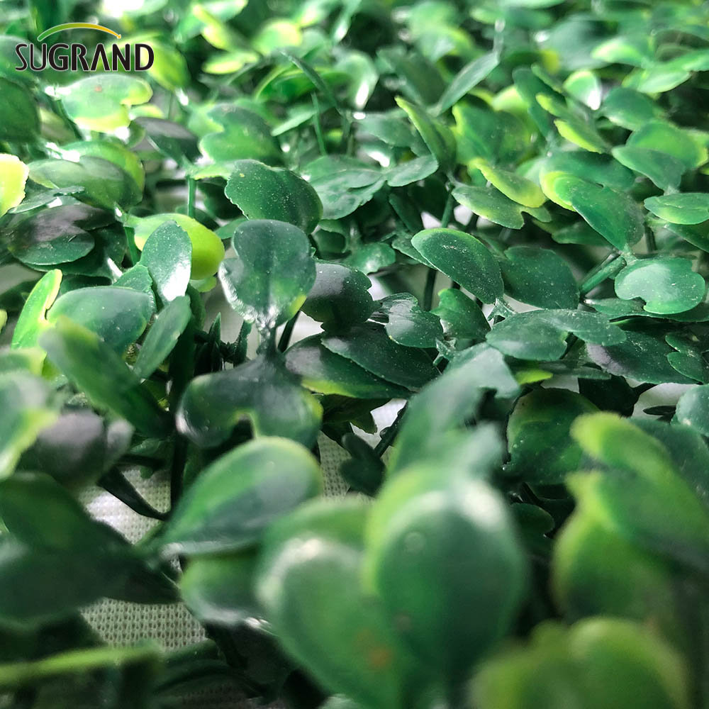 أوراق الاصطناعية سياج PVC السياج الاصطناعي العشب الصناعي مزيف