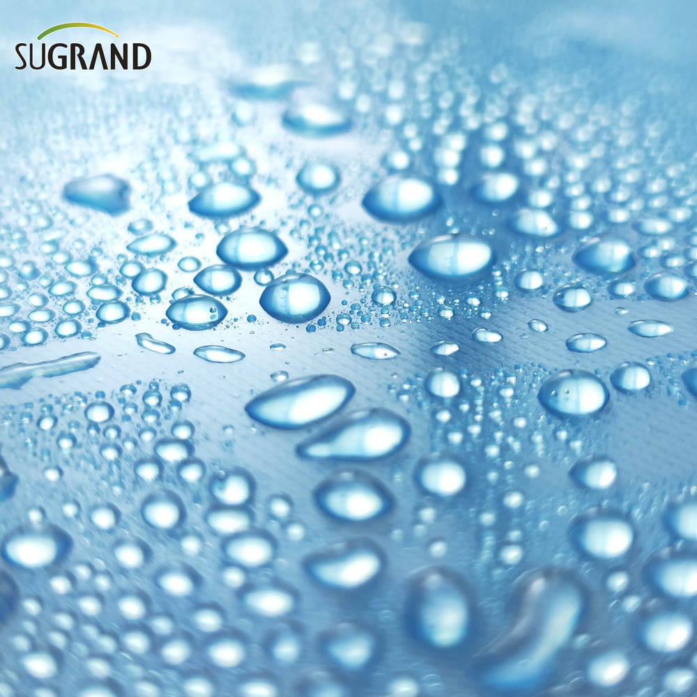  6 ميل من مادة البولي إيثيلين غرينهاوس فيلم بلاستيكي زرقاء دفيئة 