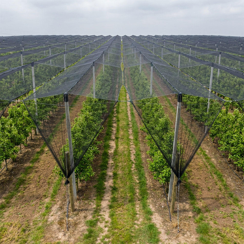 SUGRAND شبكة مكافحة البرد للمزارع والبساتين