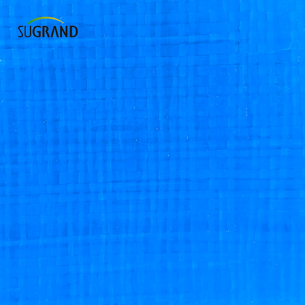 الشركة المصنعة عالية القوة الدائمة الأزرق المضاد للماء PVC Tabaulin 