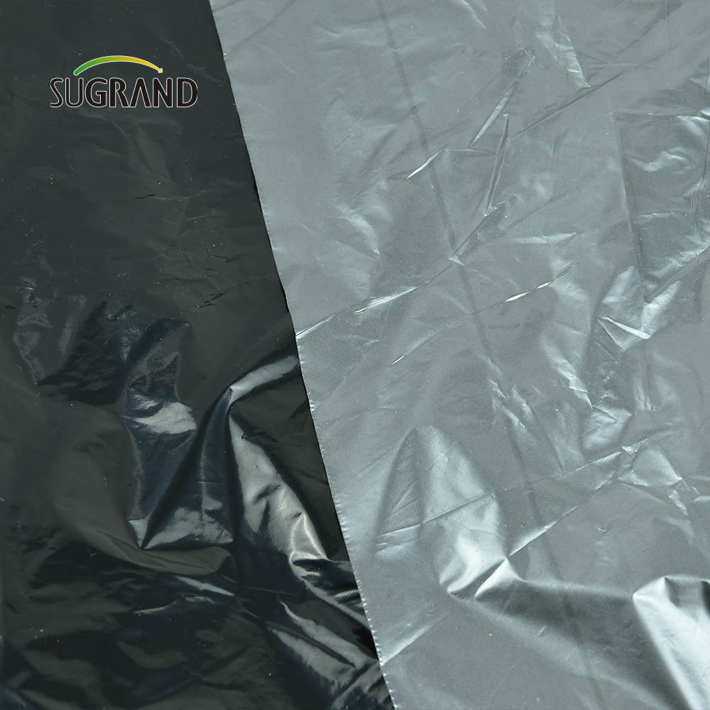سعر المصنع الرخيص فيلم Black Plastic Mulch Biodechgedable UV Film for Agricultural