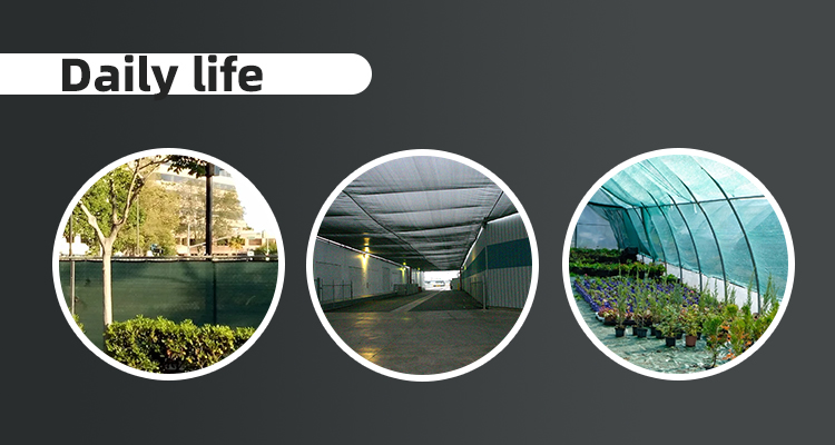 شبكة الظل لنظام التشغيل Windows