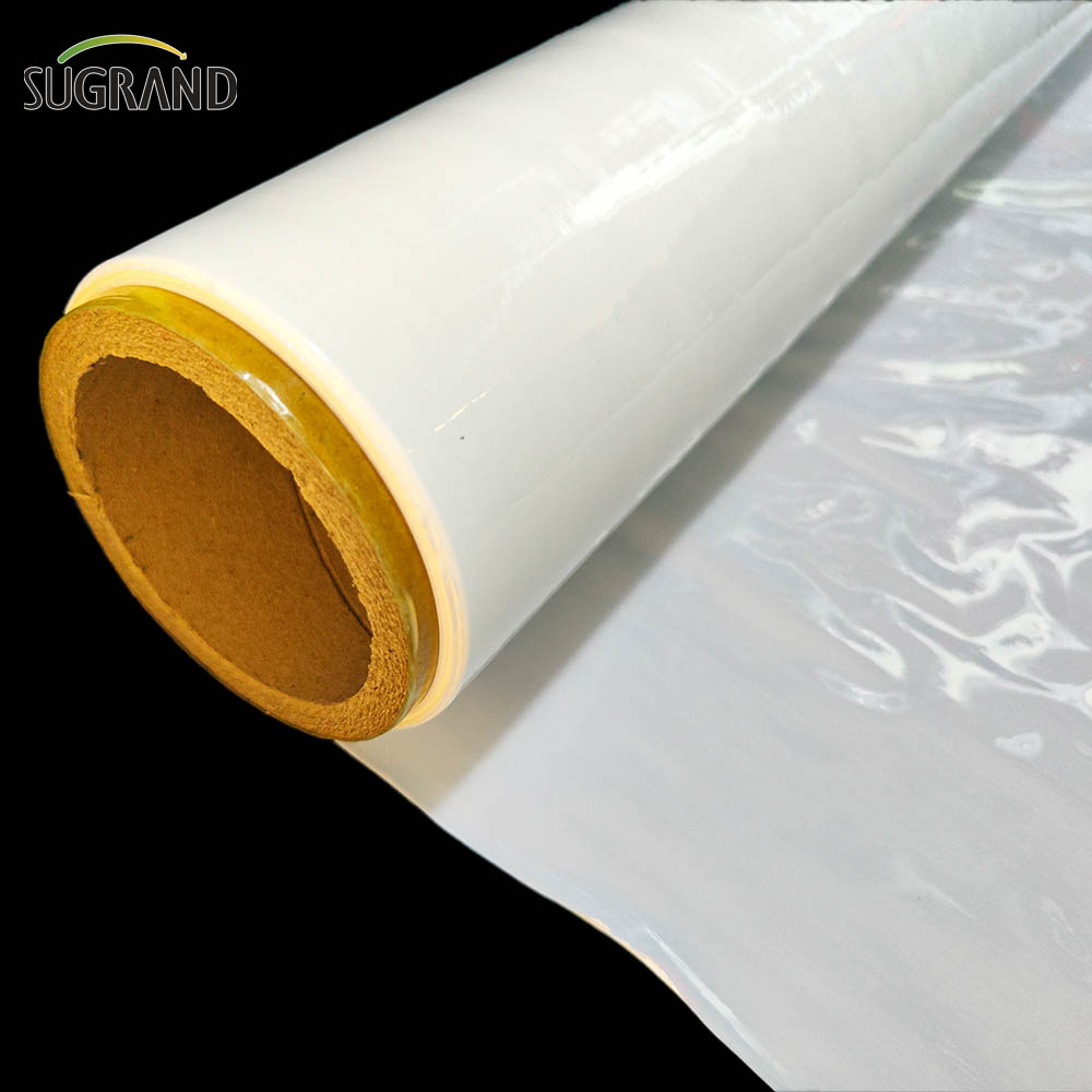 فيلم سيلاج أبيض / سيلاج سيلاج