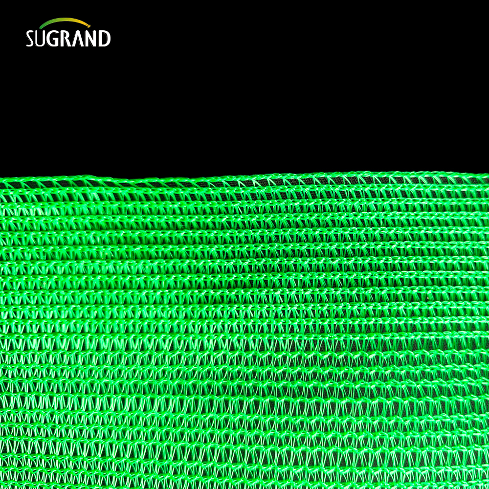 شبكة شريط خضراء فاتحة الشريط الظل 