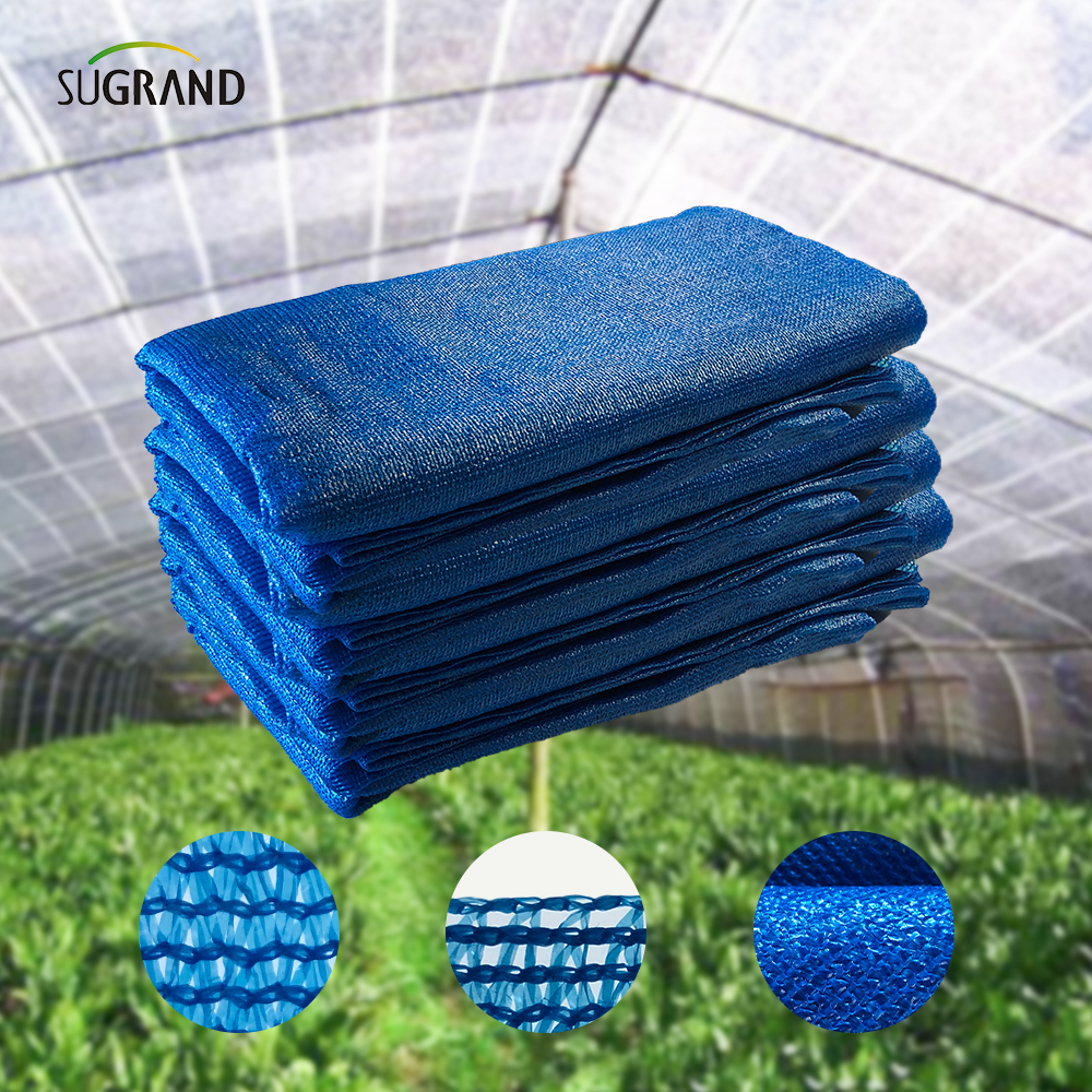 شريط الشريط الأزرق ثلاثة إبر الظل شبكة