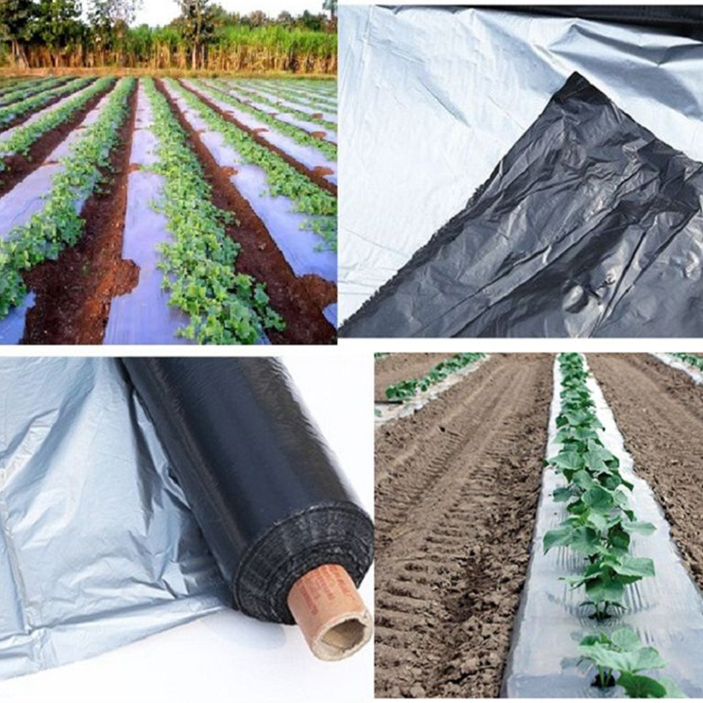 فيلم المهاد