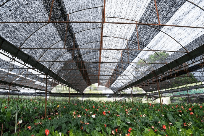 قطعة قماش الظل