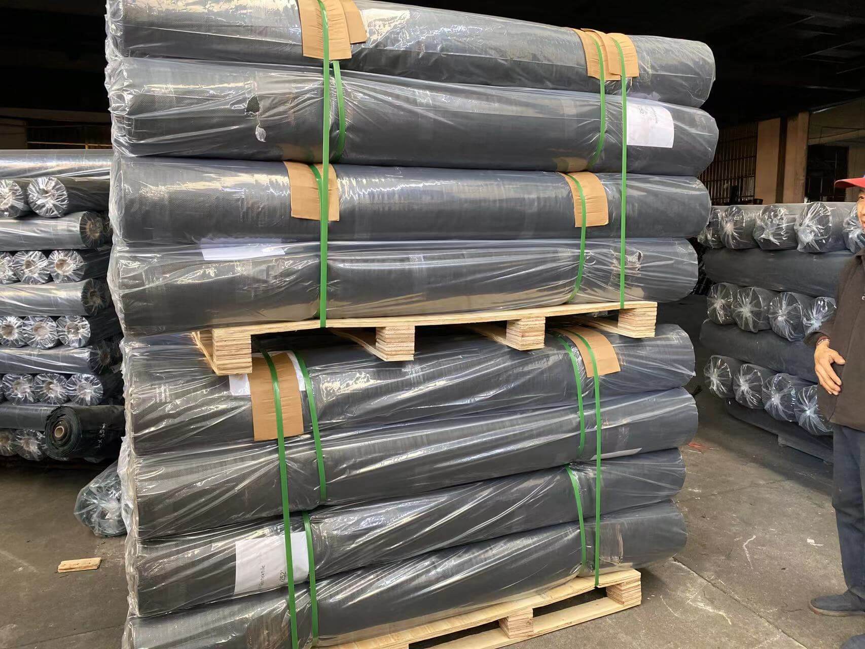 الظل صافي لفة