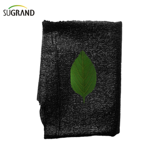 ثلاثة إبر من شريط الشريط الأخضر/الأسود شبكة الظل