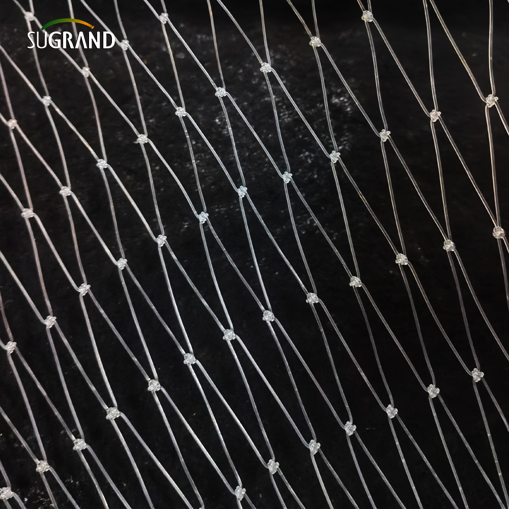 15*15 سم شبكة أسماك النايلون الشفافة لسوق بيرو