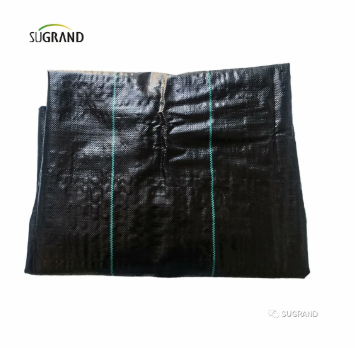 الغطاء الأرضي