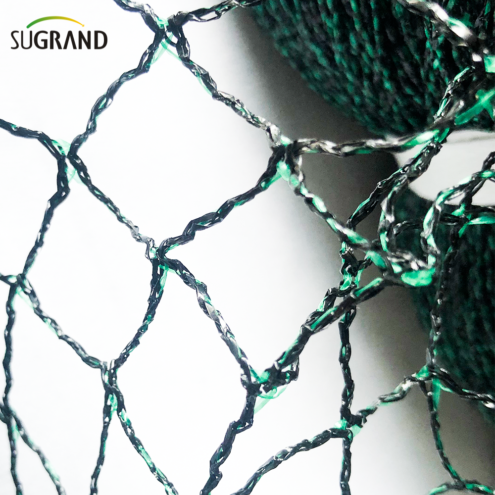 شبكات الطيور لأشجار الفاكهة السوداء والأخضر شبكة