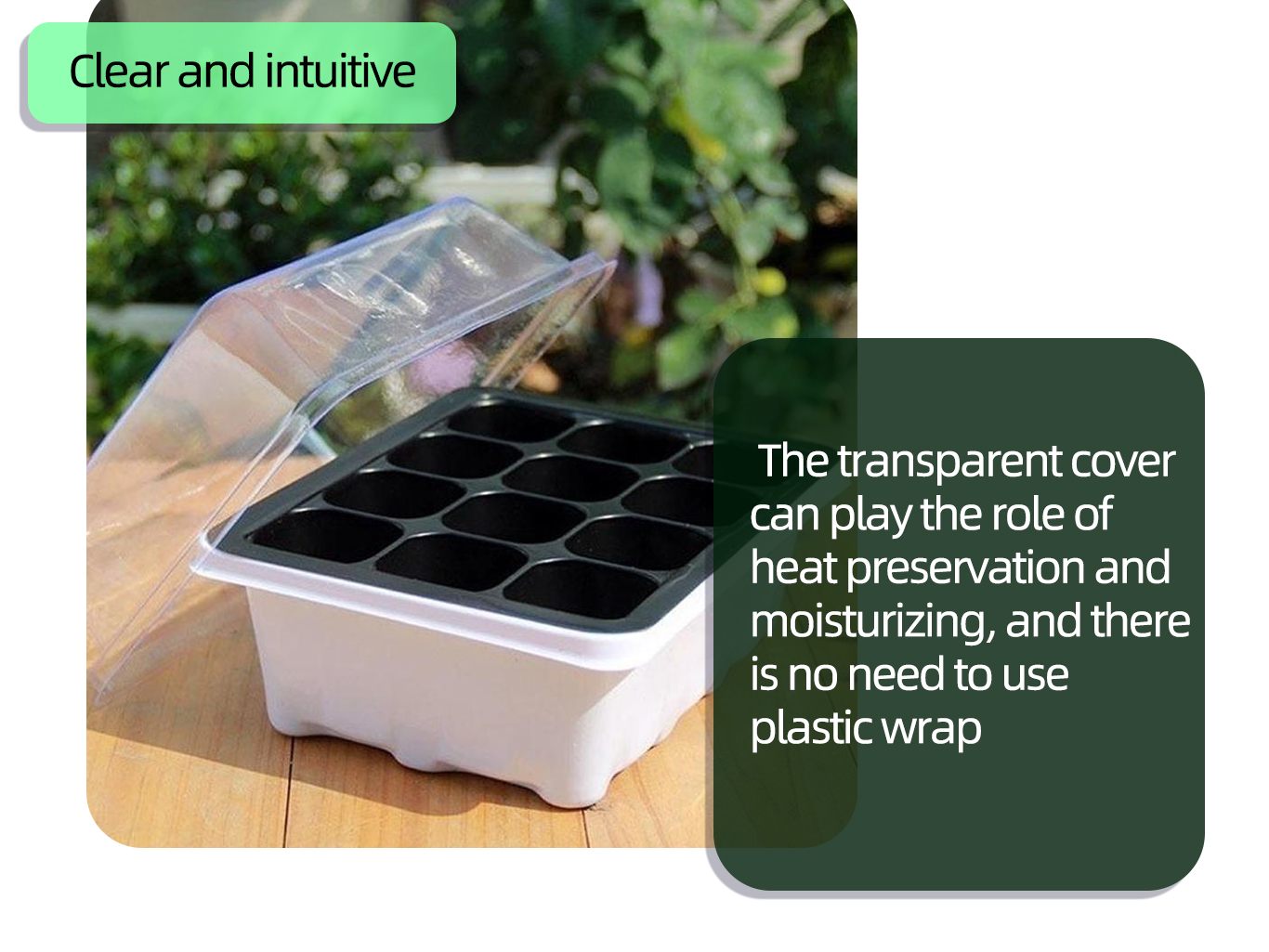 وعاء الحضانة الأسود