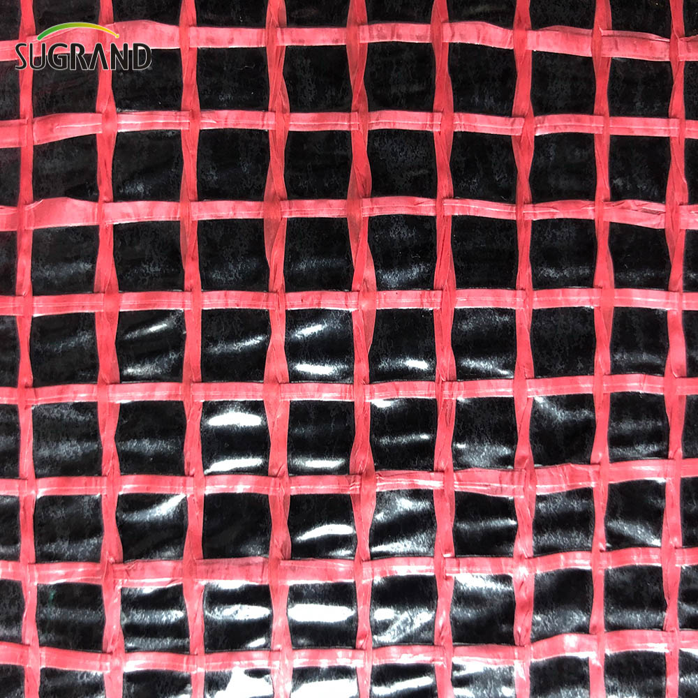 شبكة سقالة بلاستيكية تتسرب شفاف الباباولن