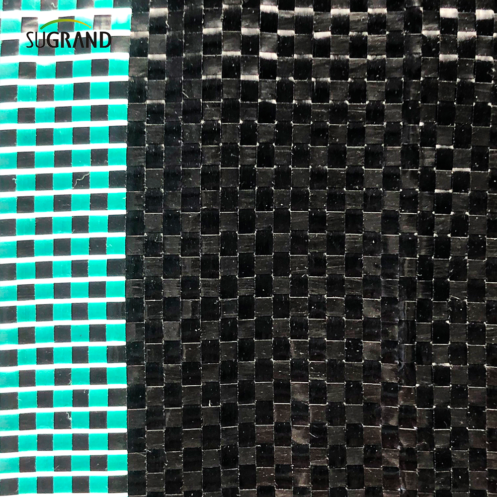 100gsm غطاء الأرض الأسود والأخضر / حصيرة الأعشاب