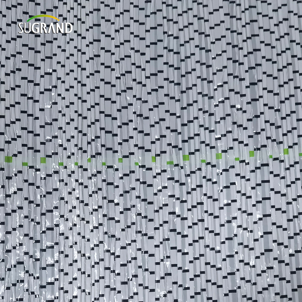 غطاء الأرض الأسود 90GSM/حصيرة الأعشاب