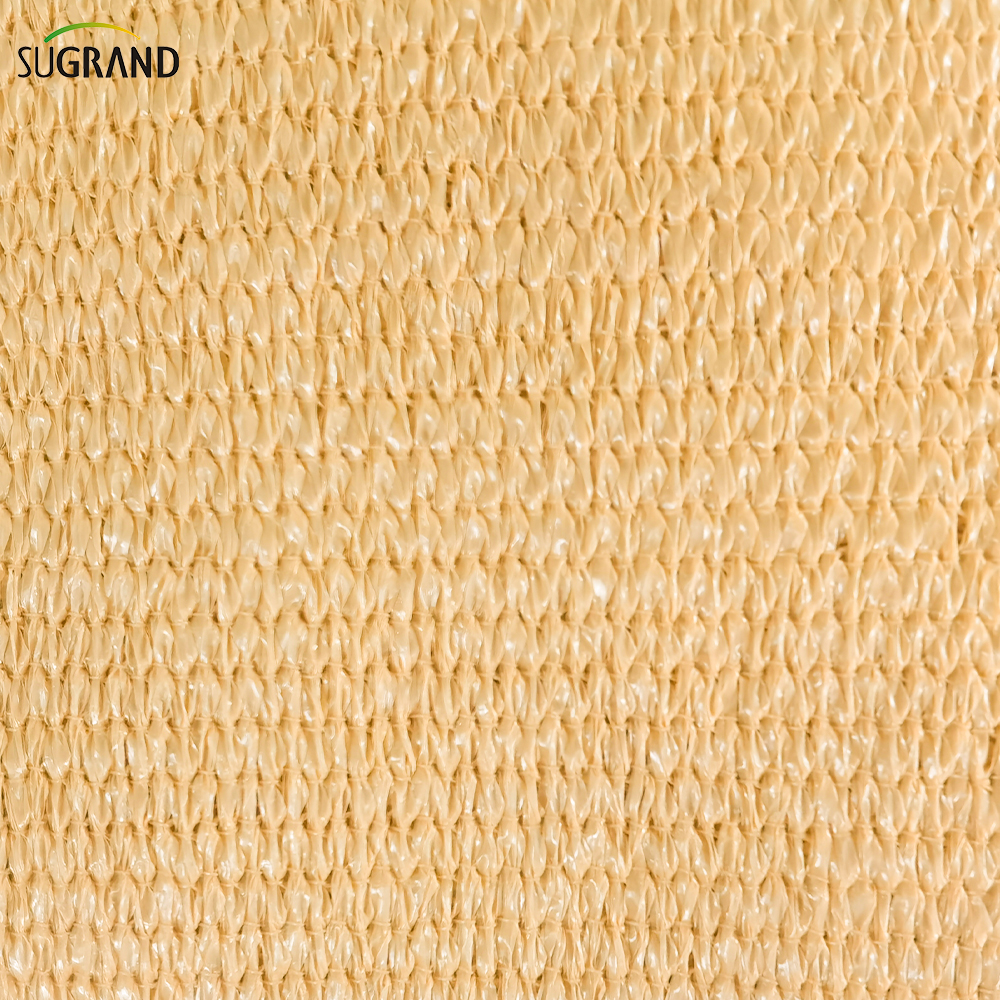 البيج الشمس الظل الشراعية على الانترنت