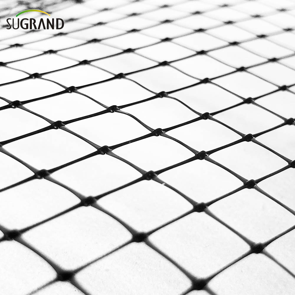 Black Bird Mist Nets Prouded Breaded Bread Net Net Net