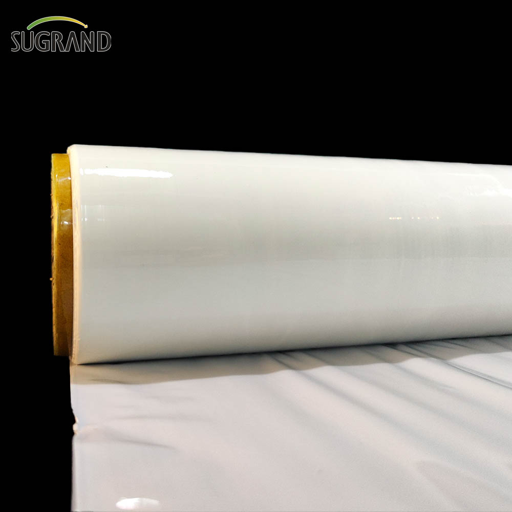 فيلم سيلاج أبيض / سيلاج سيلاج