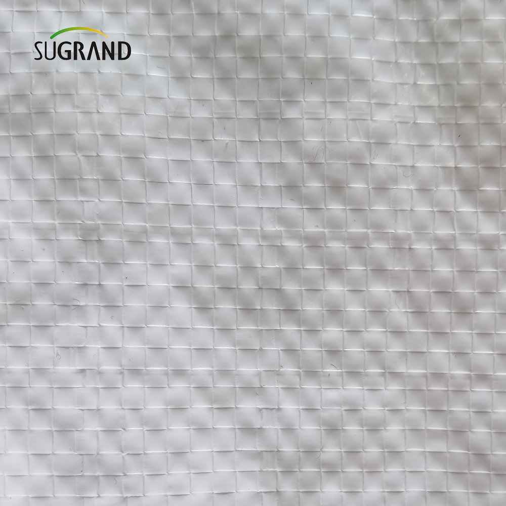 المصنع المباشر بالجملة البيضاء ورقة القماش المشمع