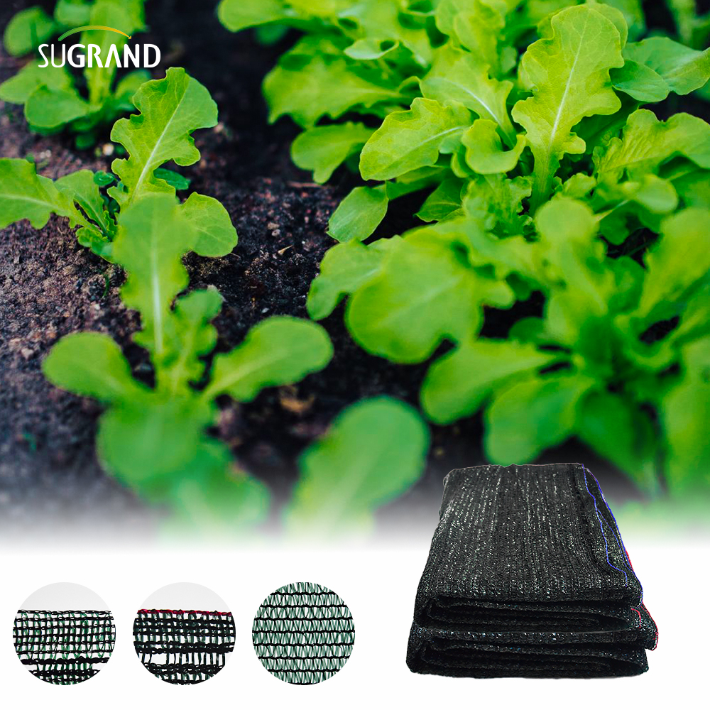 ستة إبر شريط شريط Black Tape Net Net