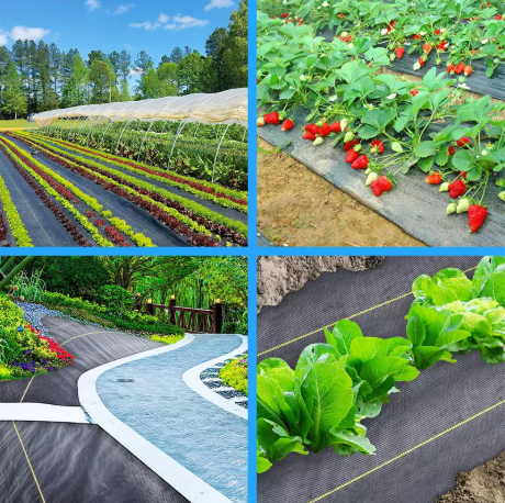 هل يمكن للغطاء الأرضي التعامل مع الطقس القاسي؟